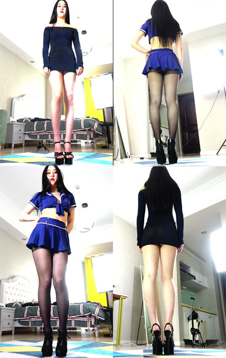 炫舞世家-薇薇2期-6V-1.18G