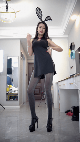 炫舞世家夏栢5期-4V-0.9G